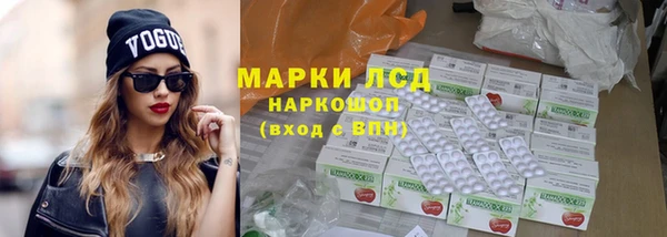 прущие грибы Дмитриев