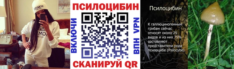 Псилоцибиновые грибы ЛСД  блэк спрут зеркало  Куртамыш 